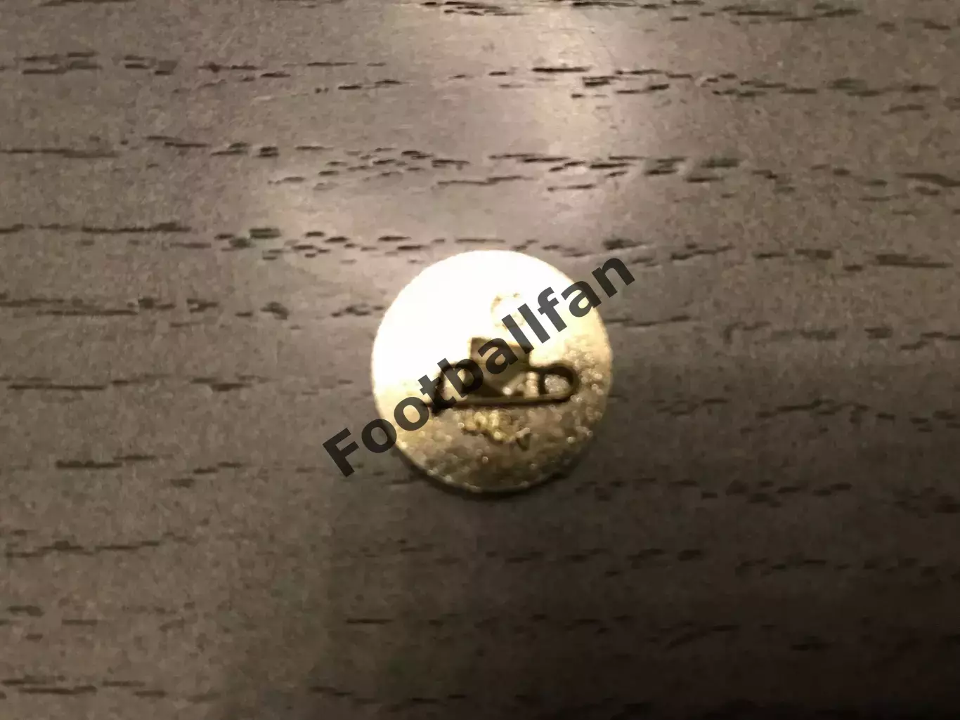 Динамо Киев . Болельщик . Зеленый . 1