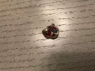 Динамо Киев (17)