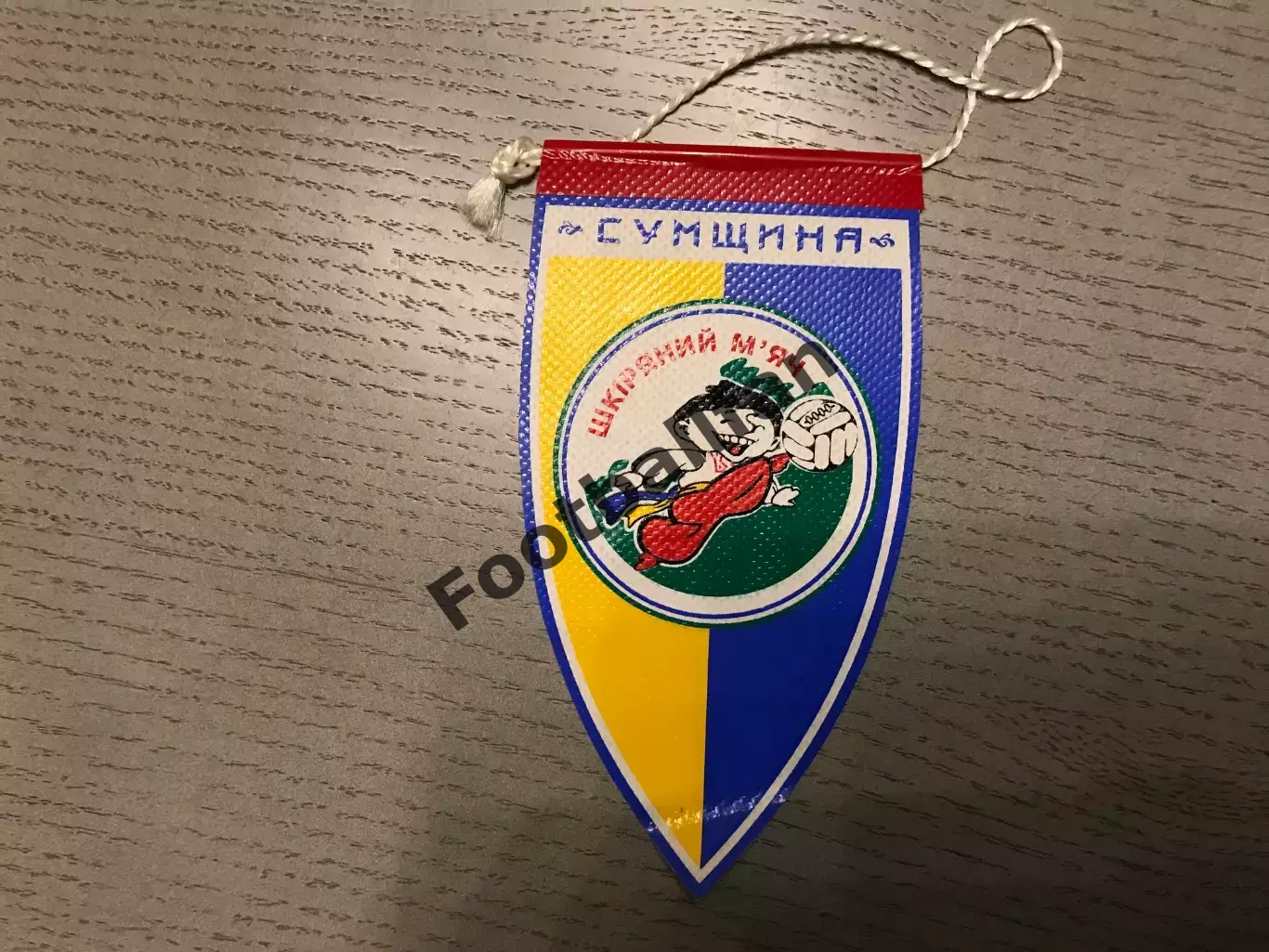 Кожаный мяч . Сумщина .