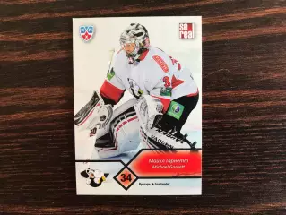 КХЛ . Сезон 2012 - 2013 г.г. Майкл Гарнетт Канада ( Трактор Челябинск )