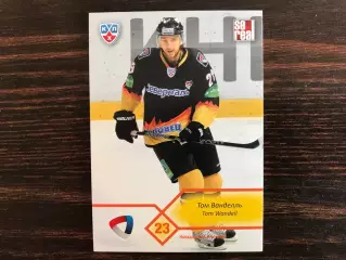 КХЛ . Сезон 2012 - 2013 г.г. Том Вонделль Швеция ( Северсталь Череповец )