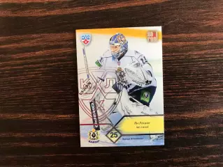 КХЛ . Сезон 2012 - 2013 г.г. Ян Лашак Чехия ( Амур Хабаровск )