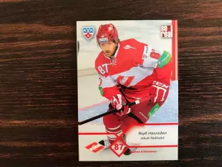 КХЛ . Сезон 2012 - 2013 г.г. Якуб Накладал Словакия ( Спартак Москва )