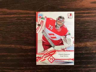 КХЛ . Сезон 2012 - 2013 г.г. Сергей Борисов Россия ( Спартак Москва )
