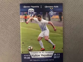 Десна Чернигов - Динамо Киев 29.11.2017 VIP Кубок Украины