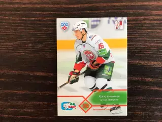 КХЛ . Сезон 2012 - 2013 г.г. Яркко Иммонен Финляндия ( Ак Барс Казань )