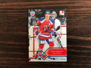 КХЛ . Сезон 2012 - 2013 г.г. Любош Бартечко Словакия ( Лев Прага )