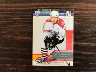 КХЛ . Сезон 2012 - 2013 г.г. Руслан Федотенко Украина ( Донбасс Донецк )