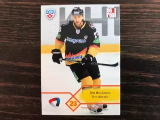 КХЛ . Сезон 2012 - 2013 г.г. Том Ванделль Швеция ( Северсталь Череповец )