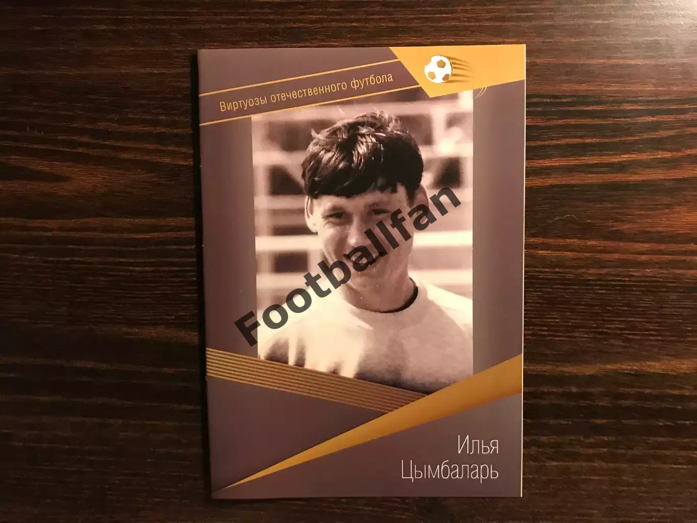 Виртуозы отечественного футбола . Илья Цымбаларь .