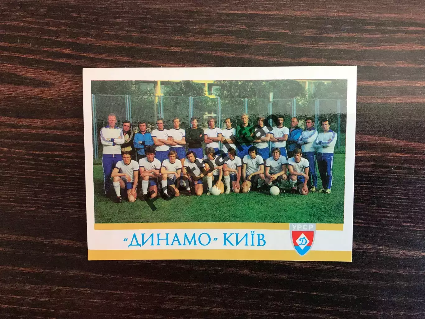 Динамо Киев 1979 год