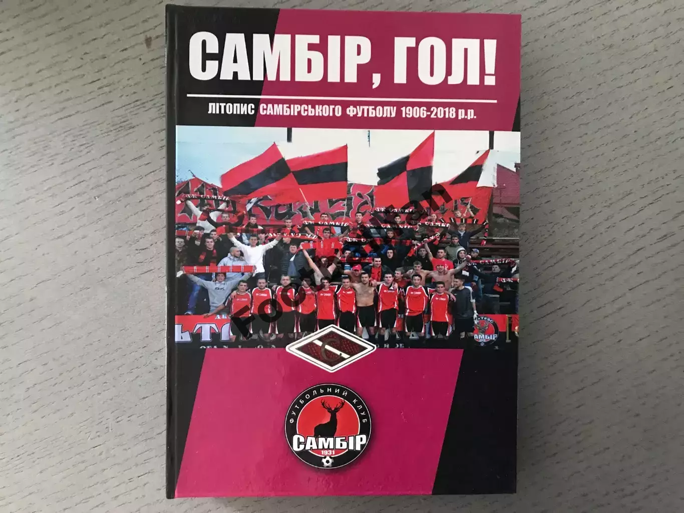 Е.Попов Самбор , гол . Львов . 2019 год .