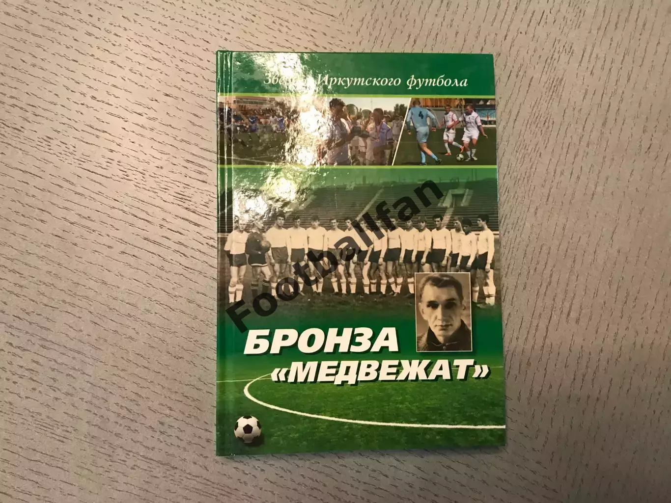 П.Кушкин Бронза медвежат . Иркутск .2013 год