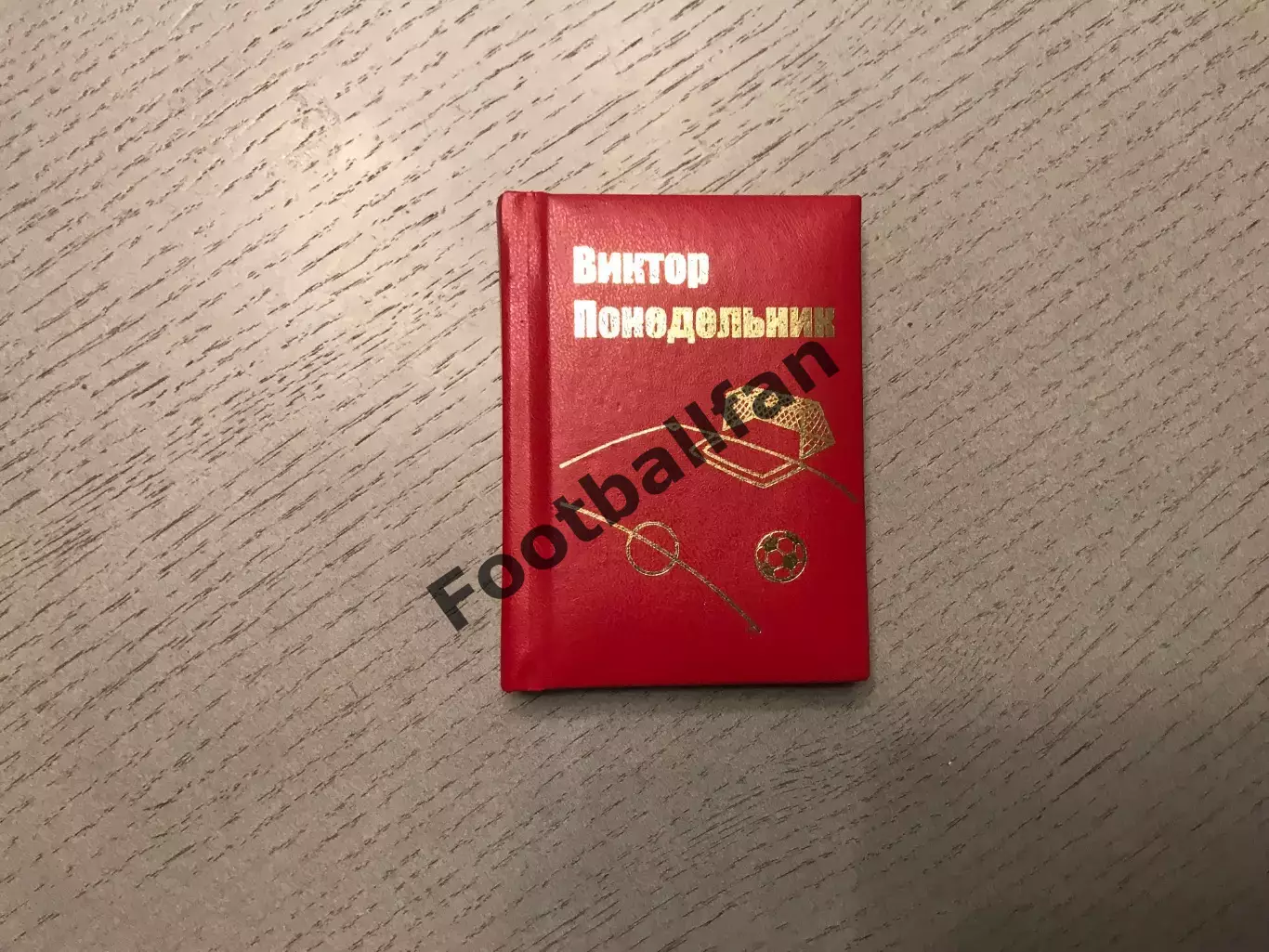 Виктор Понедельник . Мини - фотоальбом . Ростов .