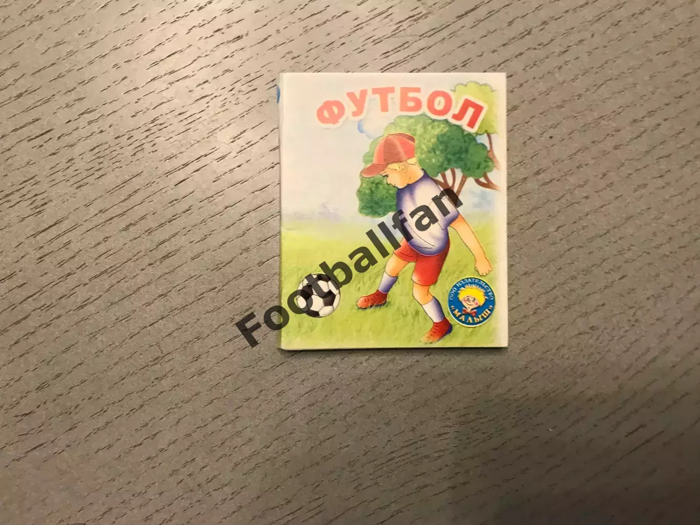 И.Лебедев Футбол . Москва .2005 год