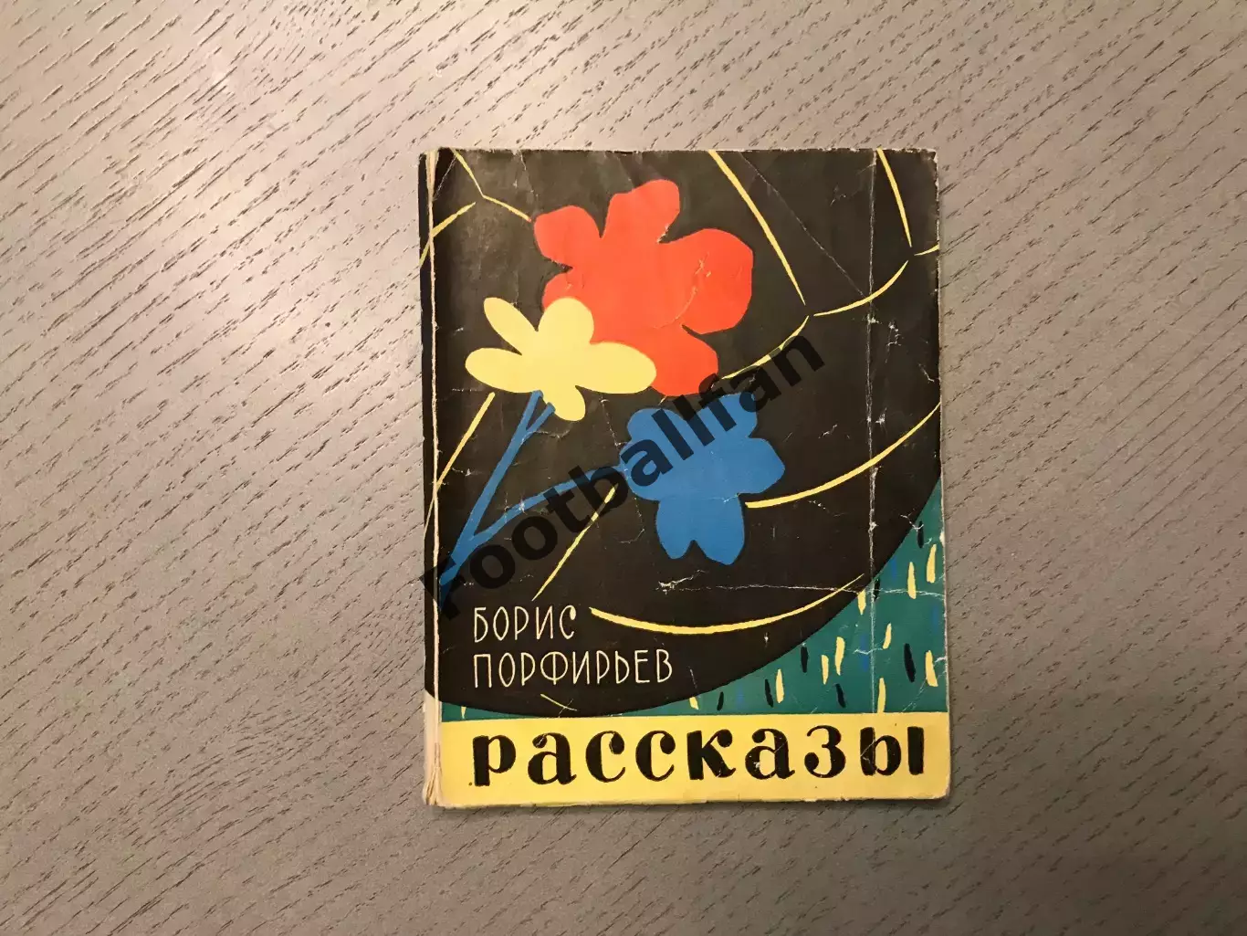 Б.Порфирьев Мяч и цветы . Киров . 1962 год