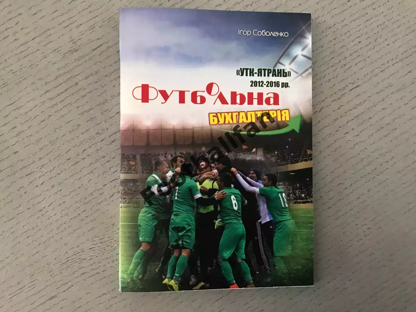 И.Соболенко Футбольная бухгалтерия . Умань . 2016 год