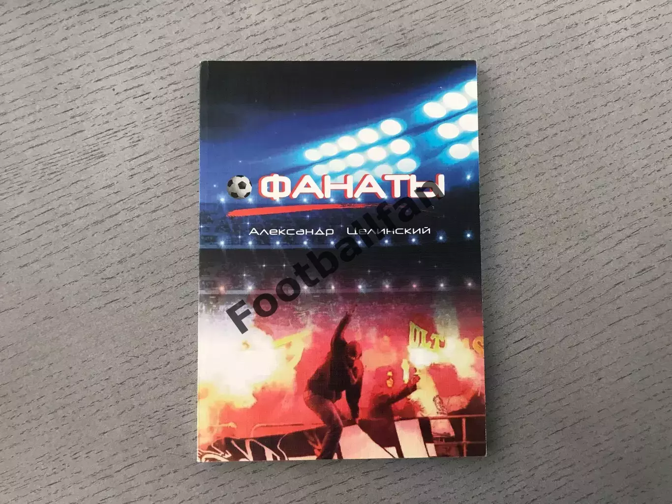 А.Целинский Фанаты. Красноярск . 2014 год