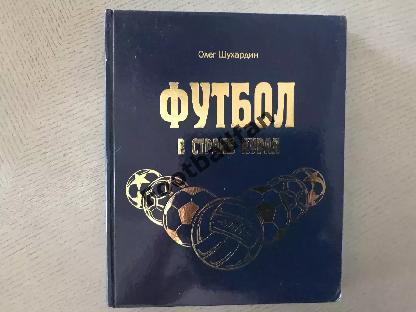 О.Шухардин Футбол в стране курая . Уфа . 2015 год