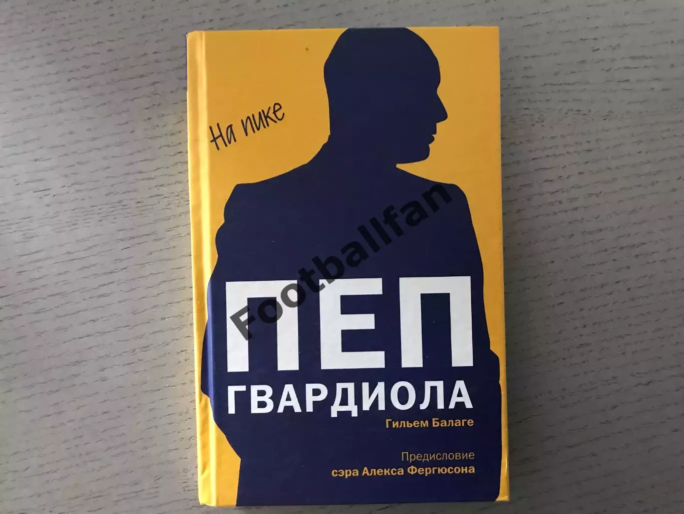 Г.Балаге Пеп Гвардиола . На пике . Москва . 2016 год