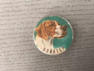 Пойнтер
