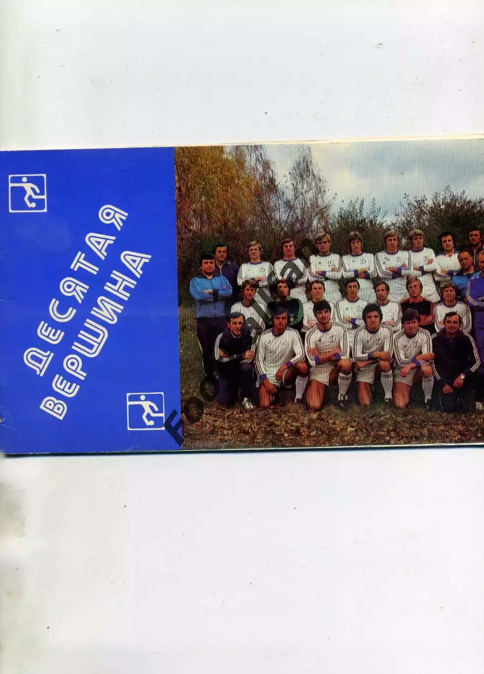 В.Мирский Десятая вершина ( Динамо Киев - чемпион СССР 1981 год )
