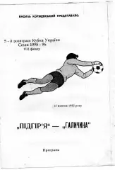 Подгорье Сторожинец - Галичина Дрогобыч 15..10.1995 Кубок Украины (2)