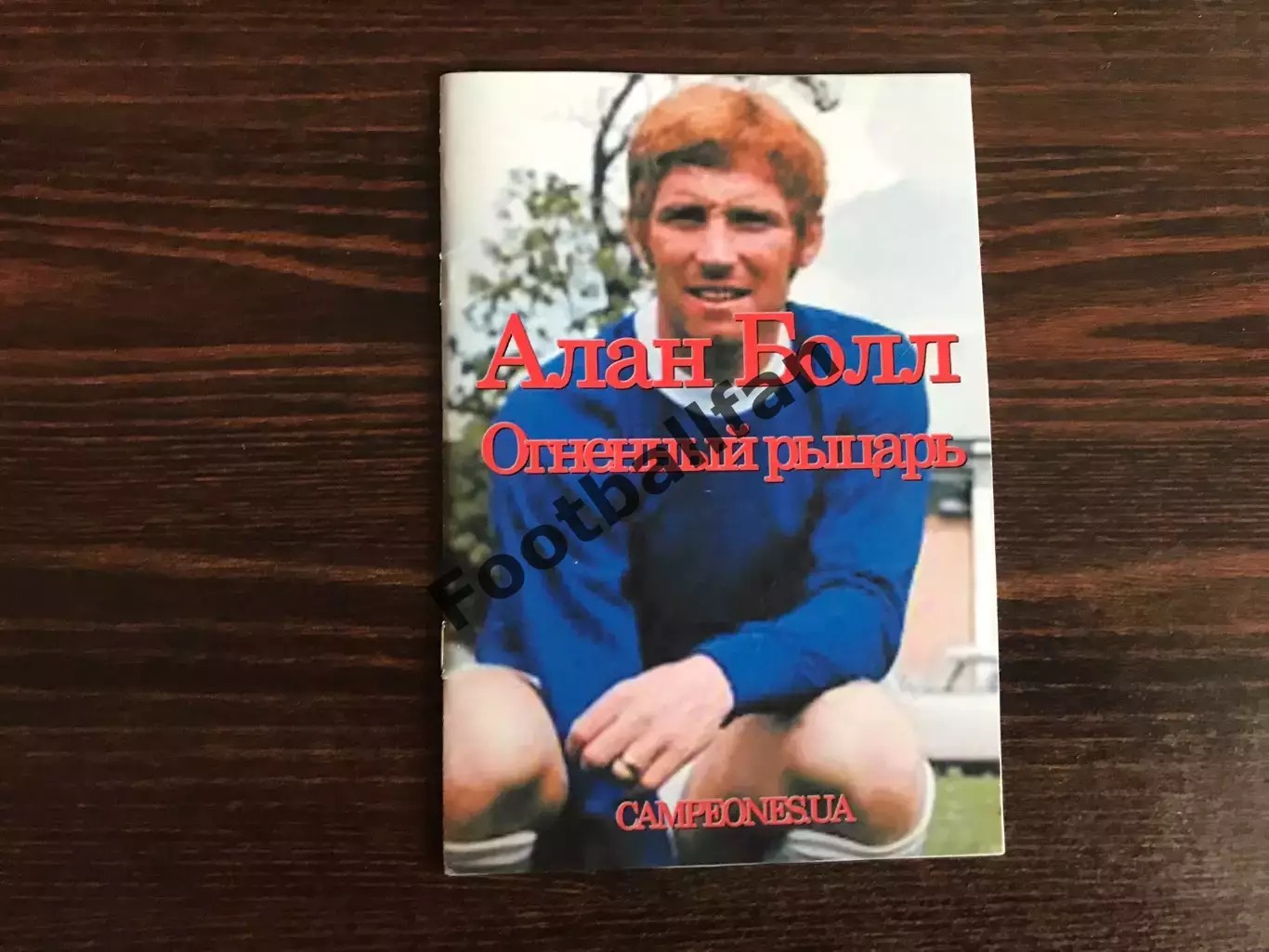 С.Бабарика Аллан Болл . Огненный рыцарь . Киев . 2018