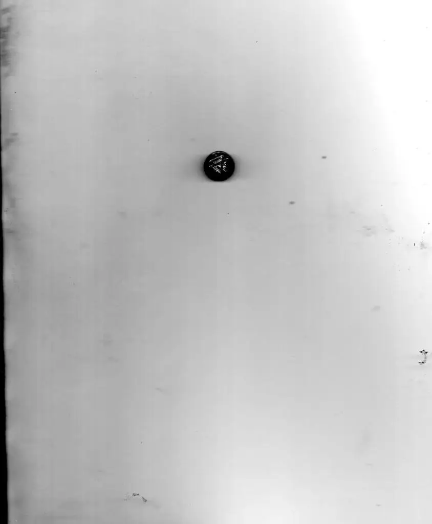 Федерация футбола ФРГ ( Германия)