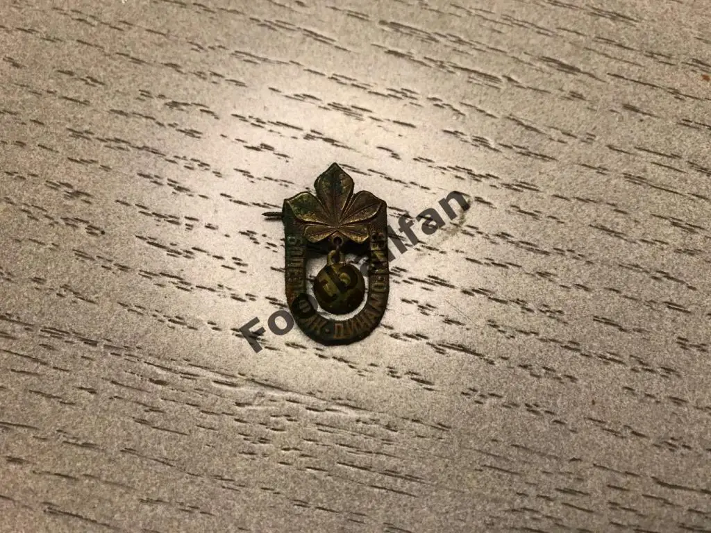 Динамо Киев . Болельщик