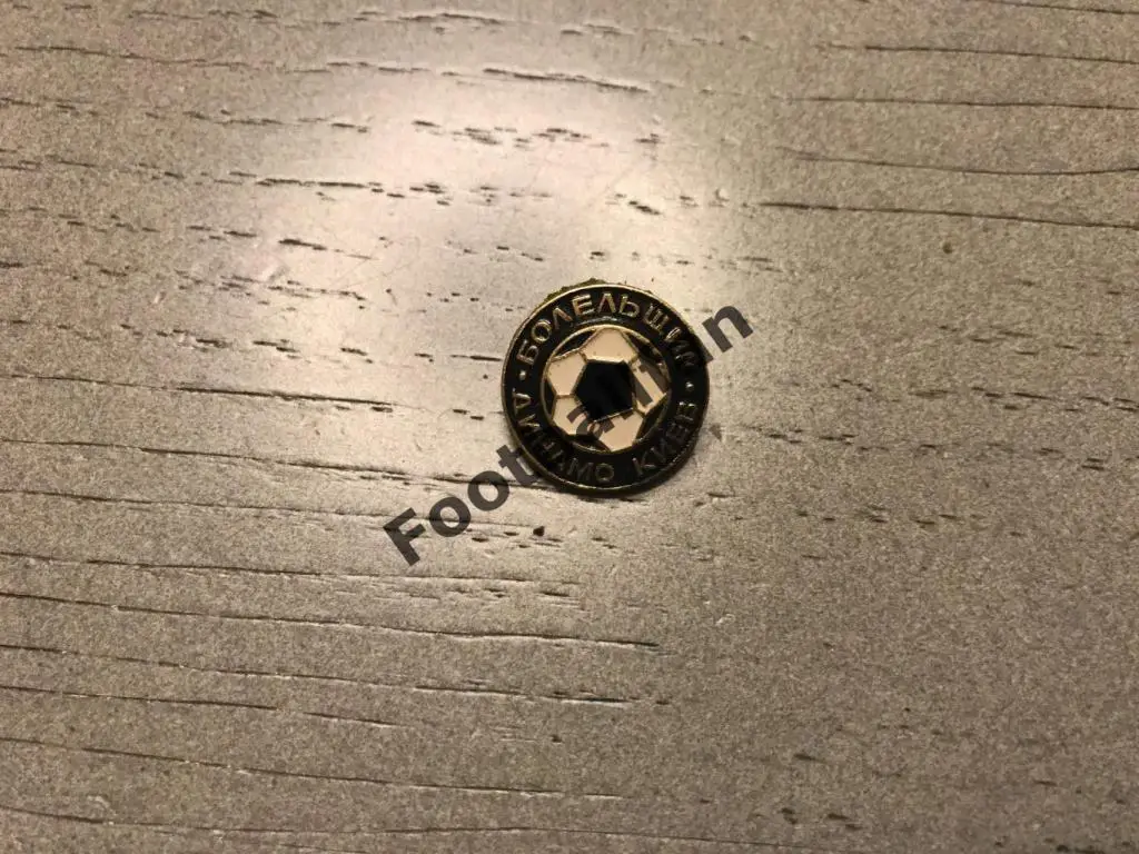 Динамо Киев . Болельщик . (2)