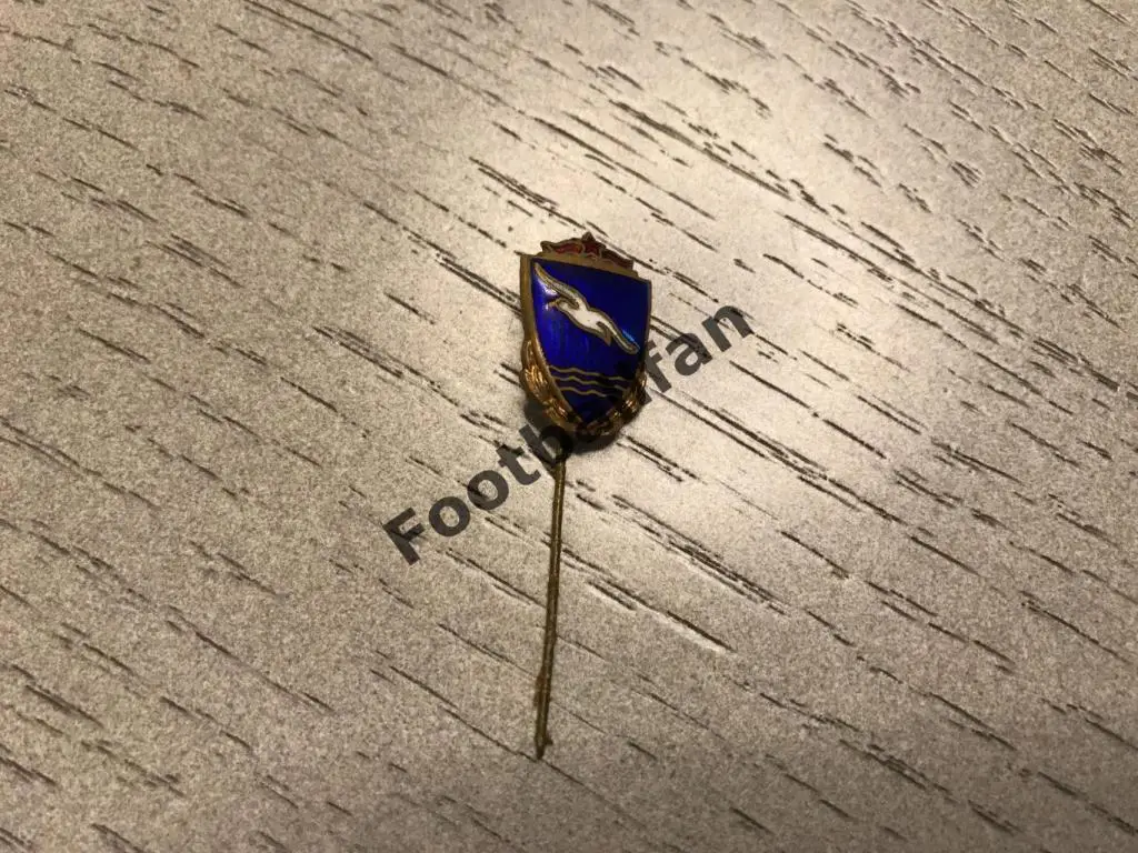 ДСО Буревестник