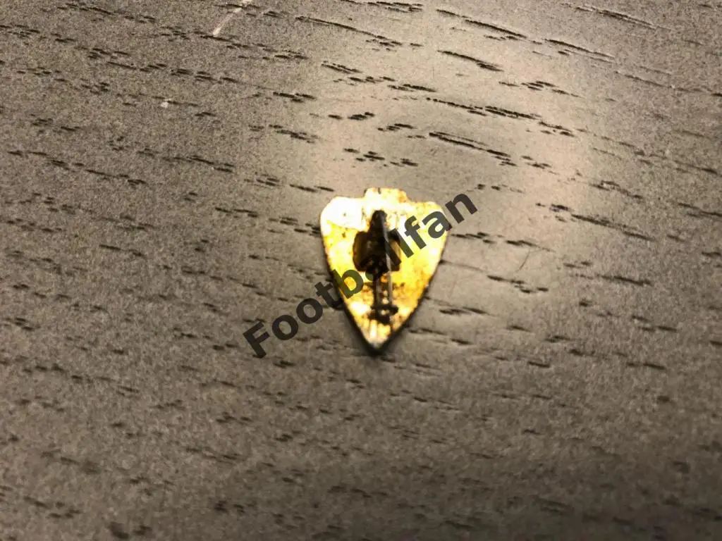 Футбольный клуб (ФК) Шахтер Донецк (13) 1