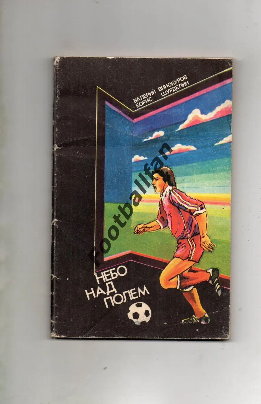 В.Винокуров , Б.Шурделин Небо над полем . Москва . 1983