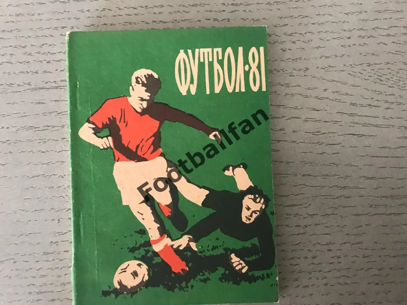 Благовещенск. 1981 год .