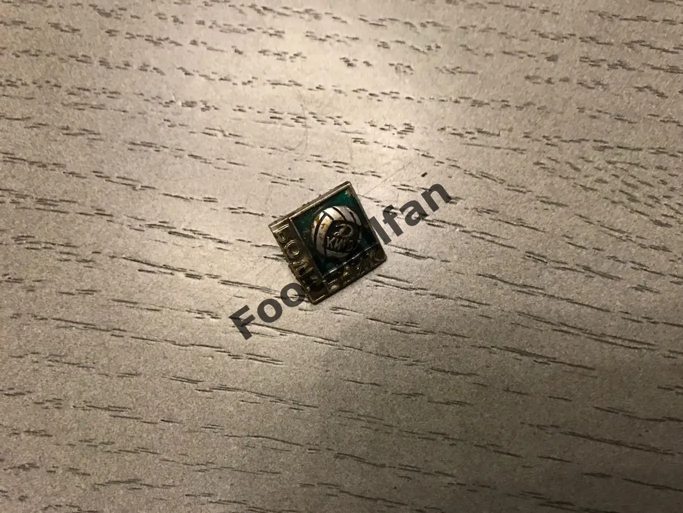 Болельщик Динамо