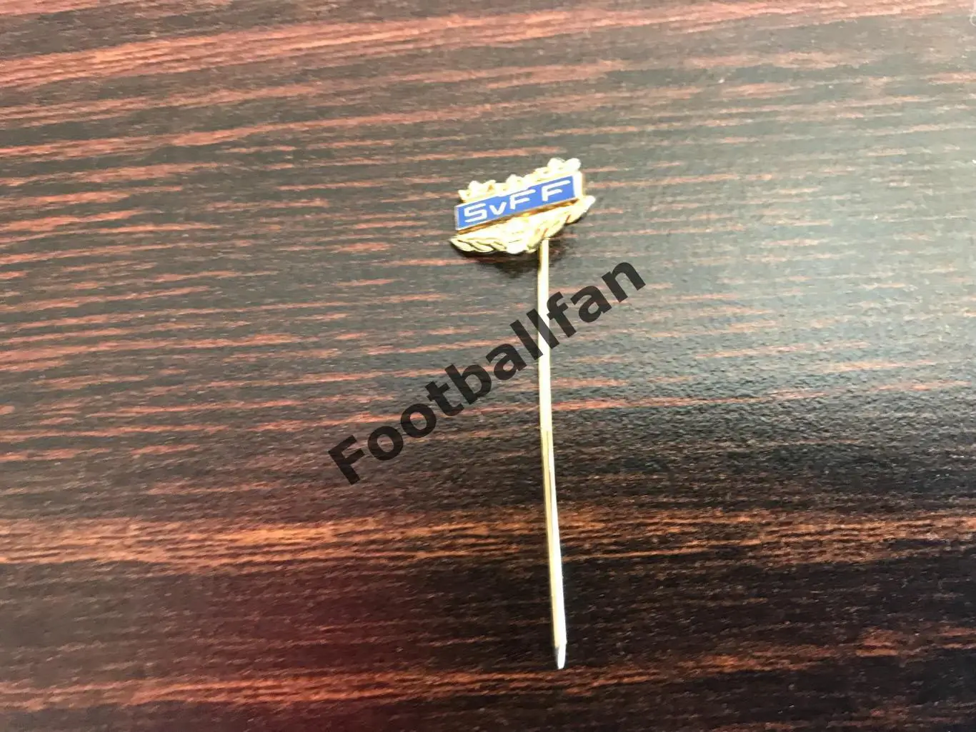 Федерация футбола Швеция (7)