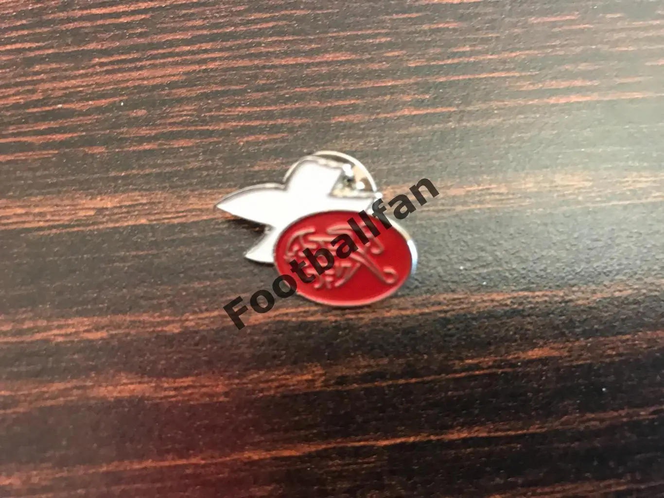 Федерация футбола Швейцария (5)