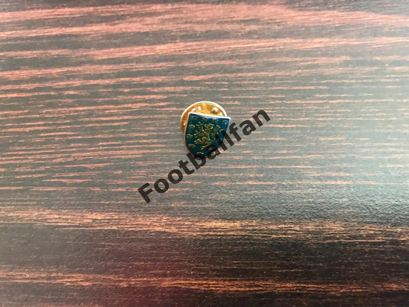 Федерация футбола Шотландия (6)