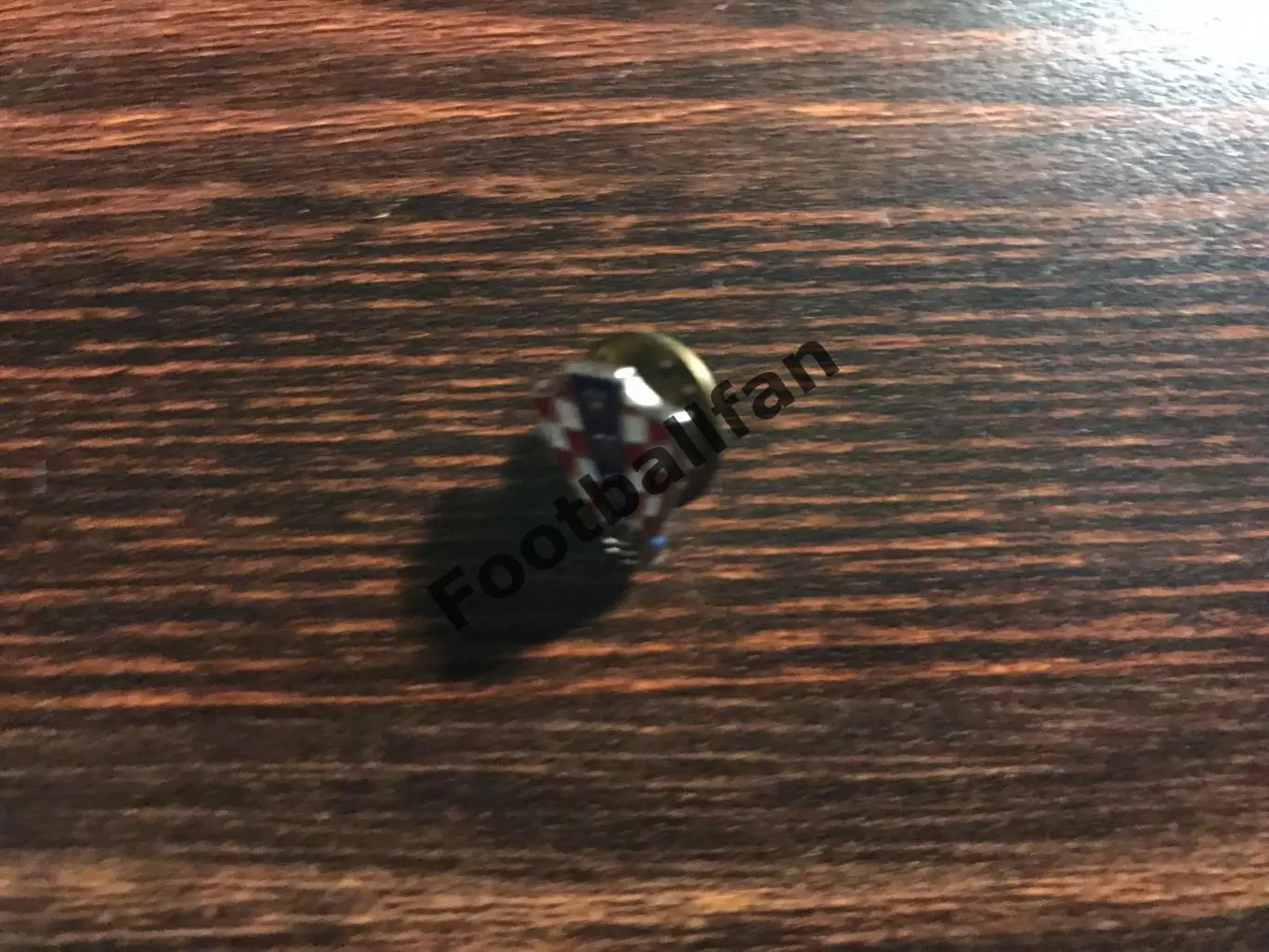 Федерация футбола Хорватия (4)