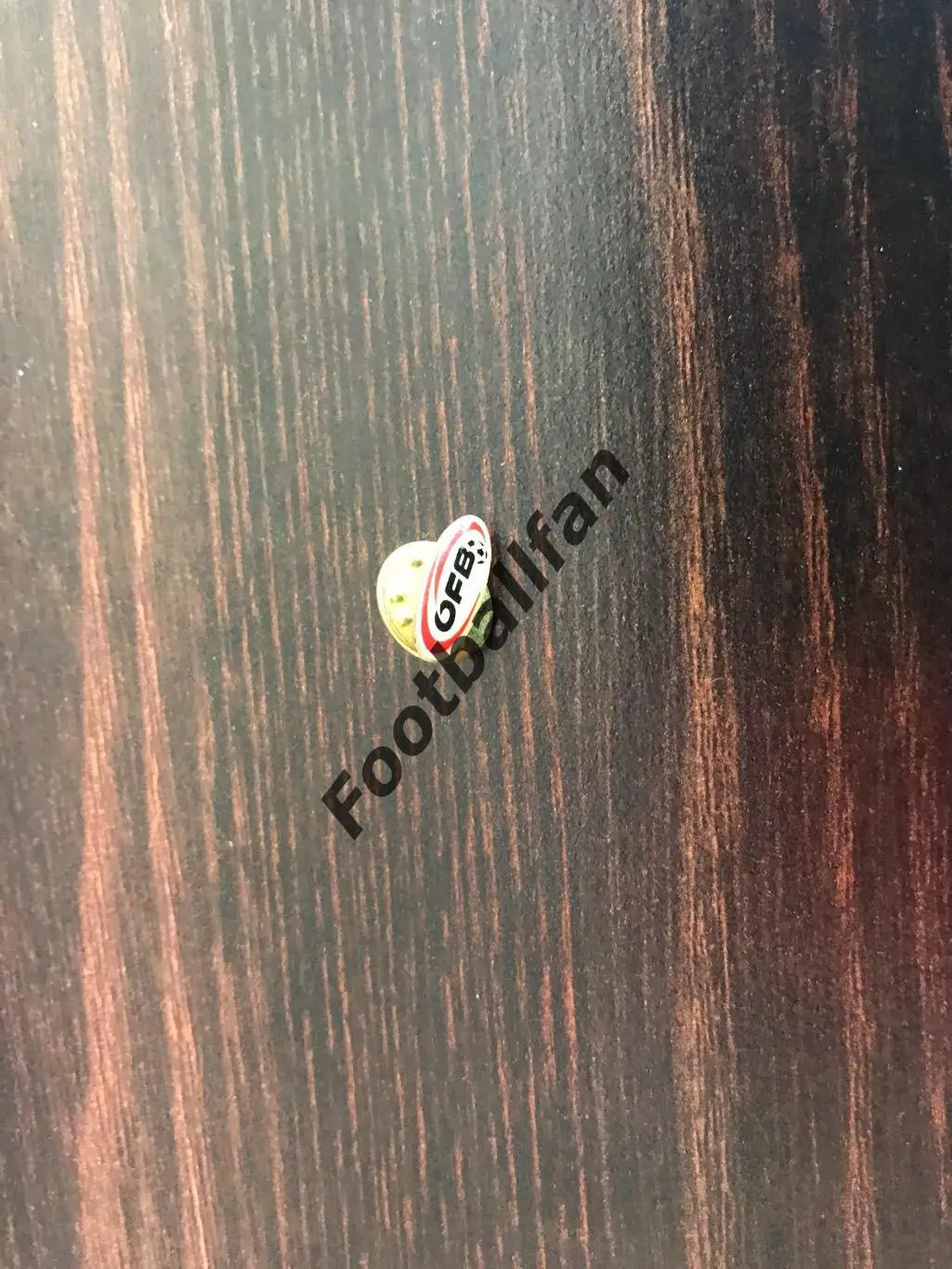 Федерация футбола Австрия (10)