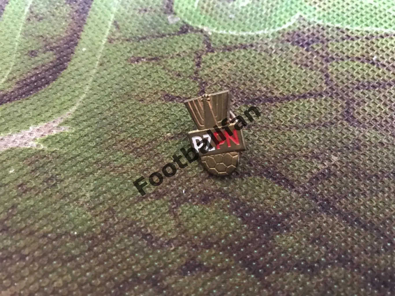 Федерация футбола Польша (11)