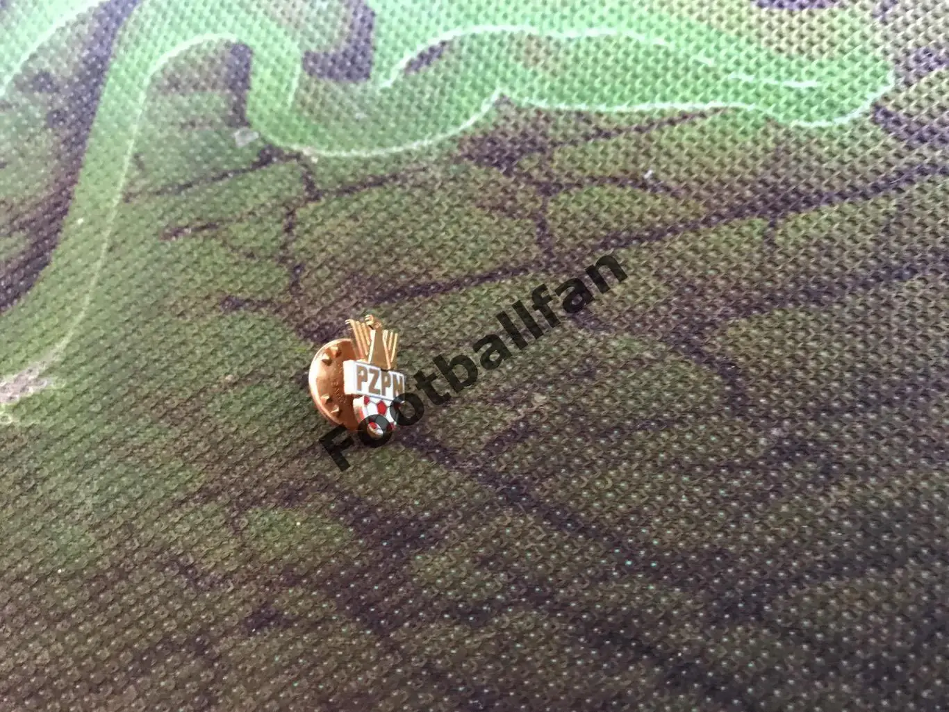 Федерация футбола Польша (14)