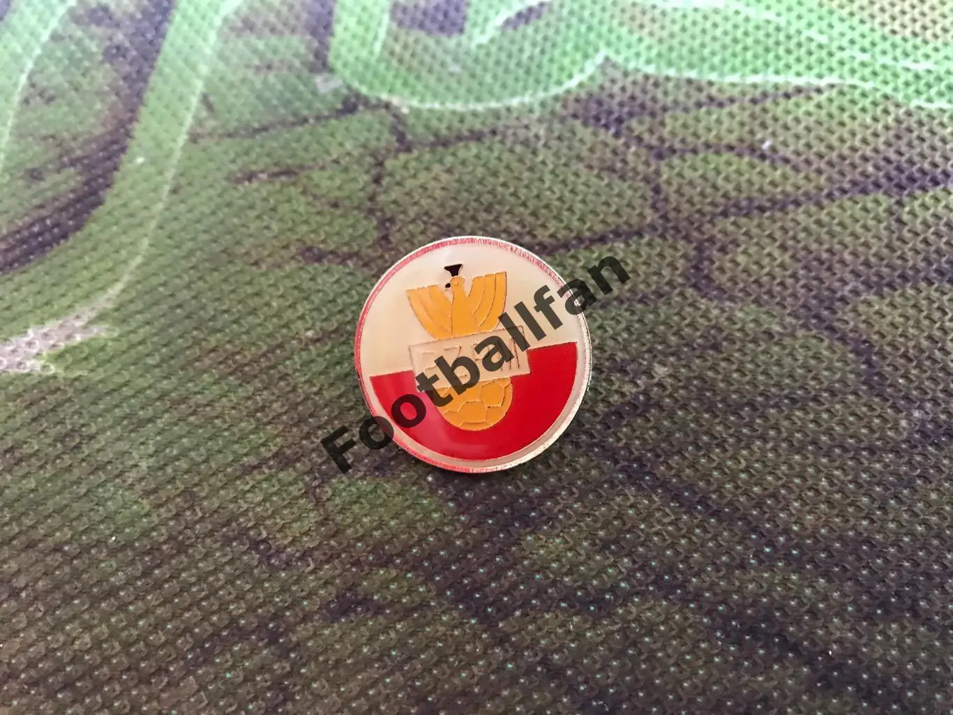 Федерация футбола Польша (15)