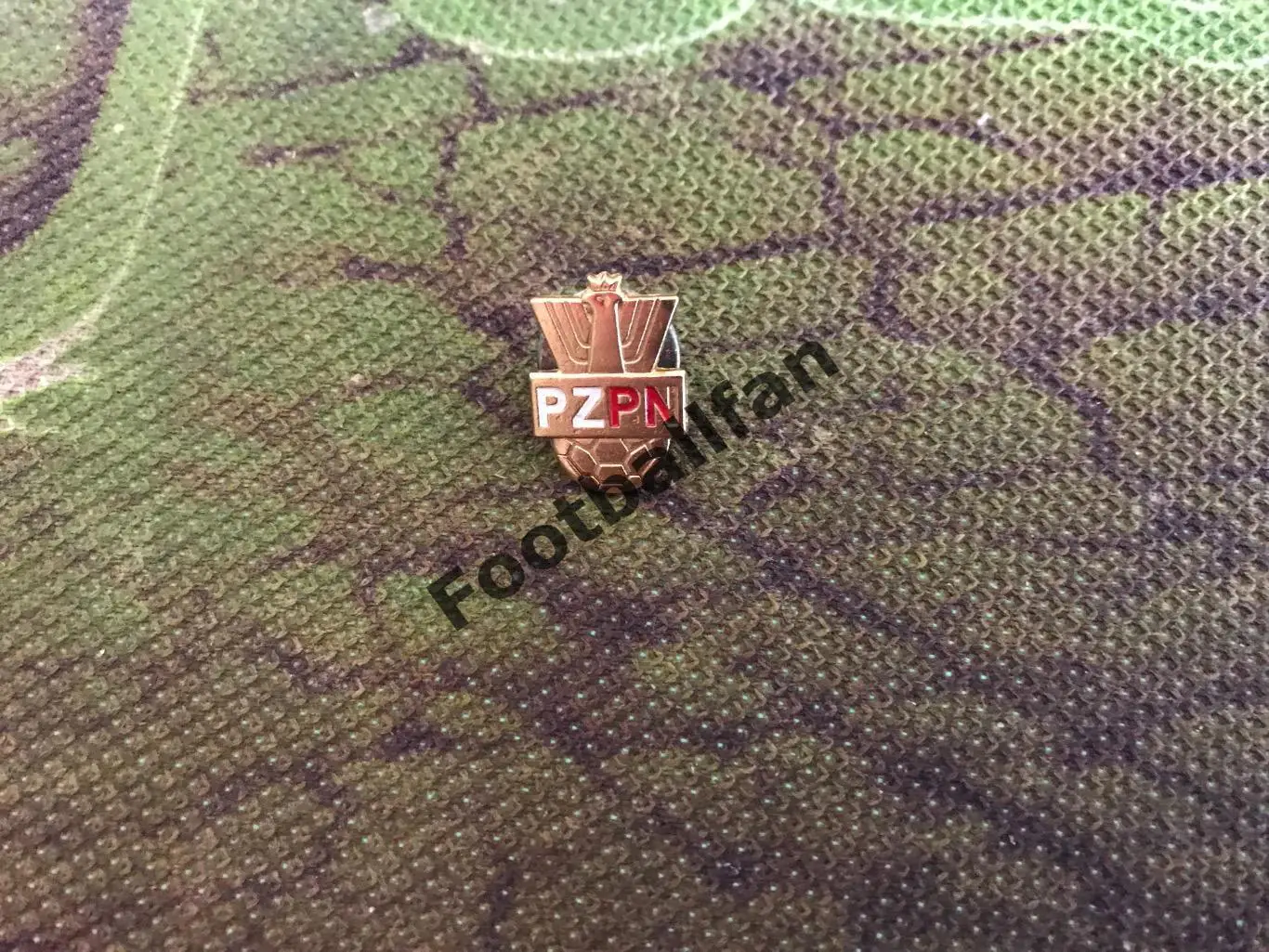 Федерация футбола Польша (16)