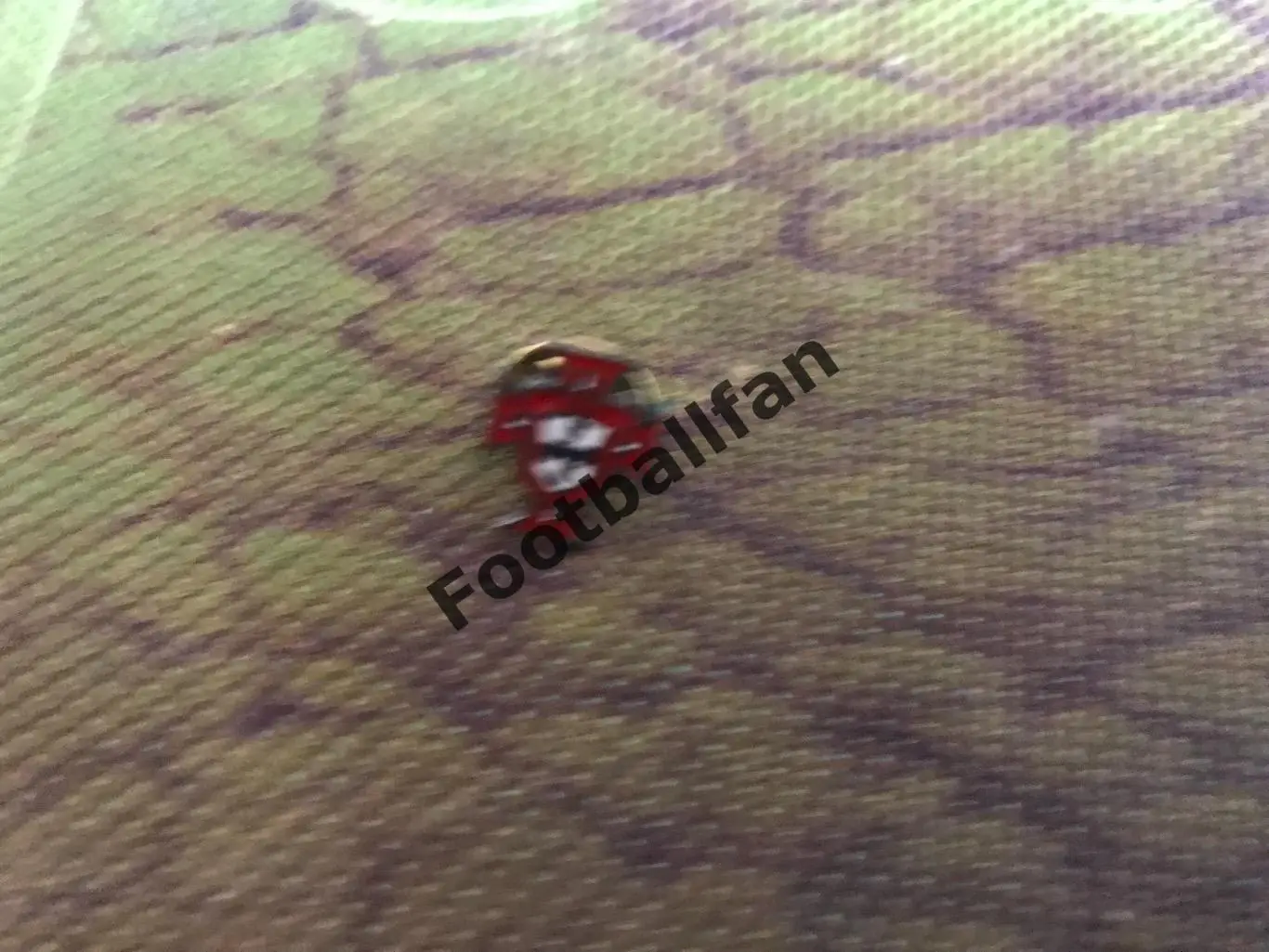 Федерация футбола Португалия (8)