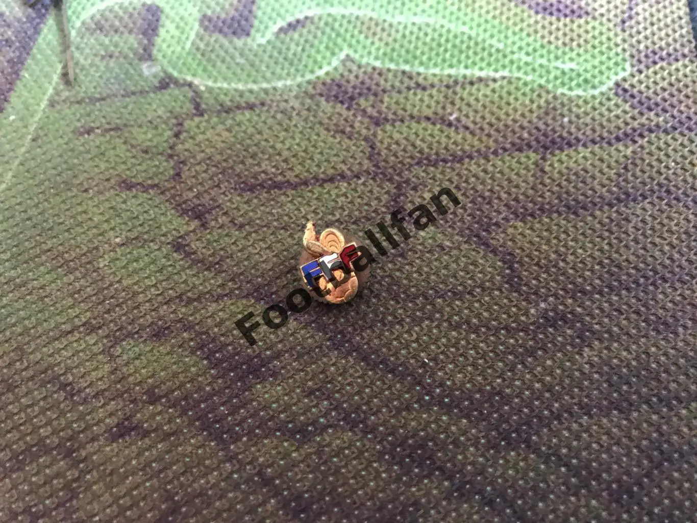 Федерация футбола Франция (4)