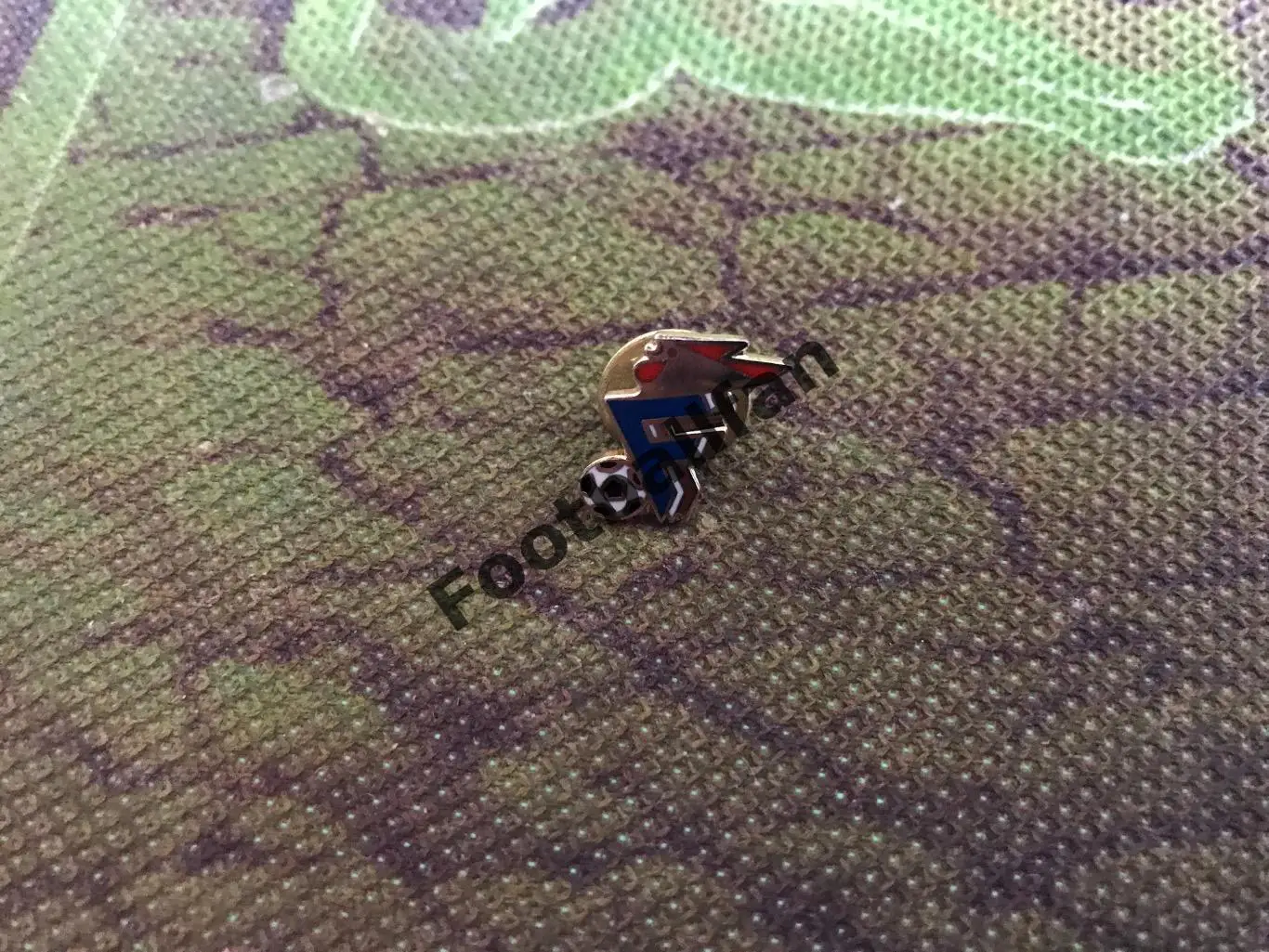 Федерация футбола Франция (10)