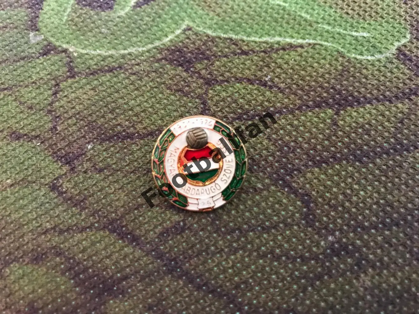 Федерация футбола Венгрия (10) 1901 - 1976