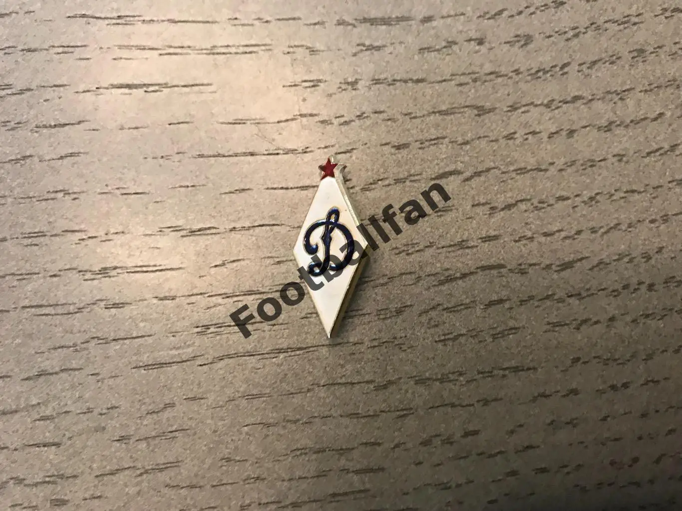 ДСО Динамо (6)